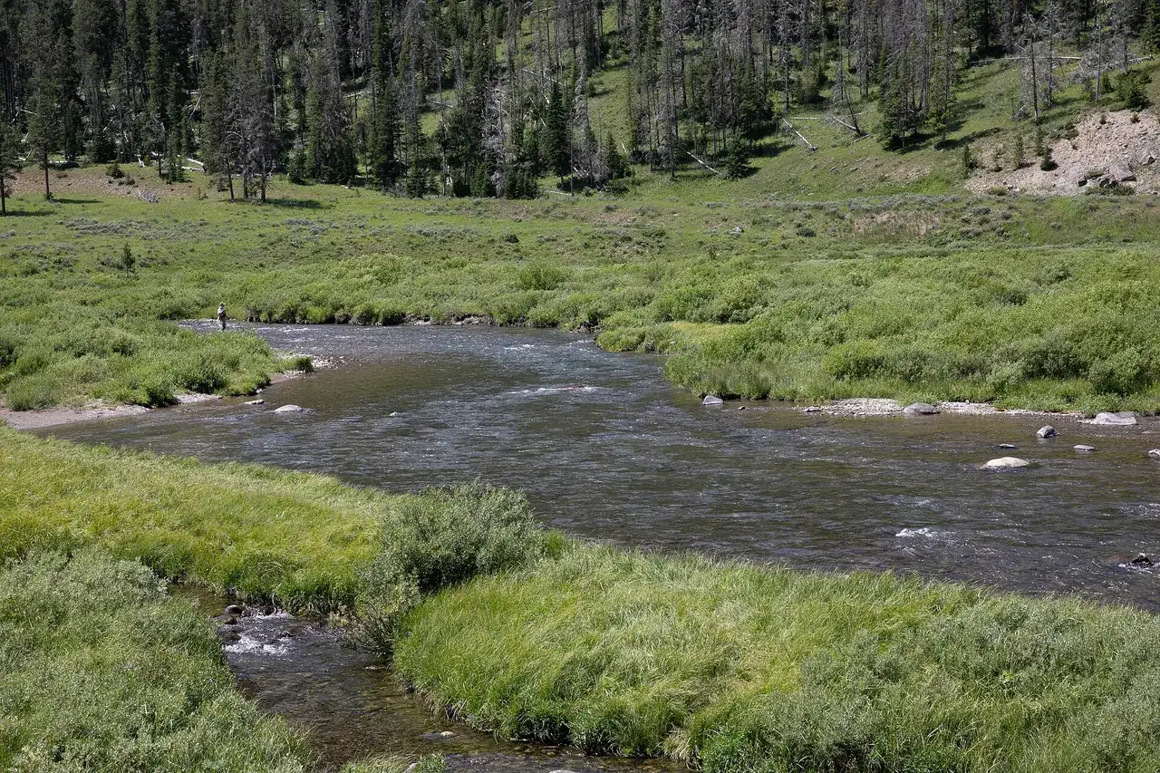 Summer near Belgrade and Bozeman, Montana